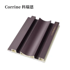 Vattentät WPC -paneler Installation Profilerad